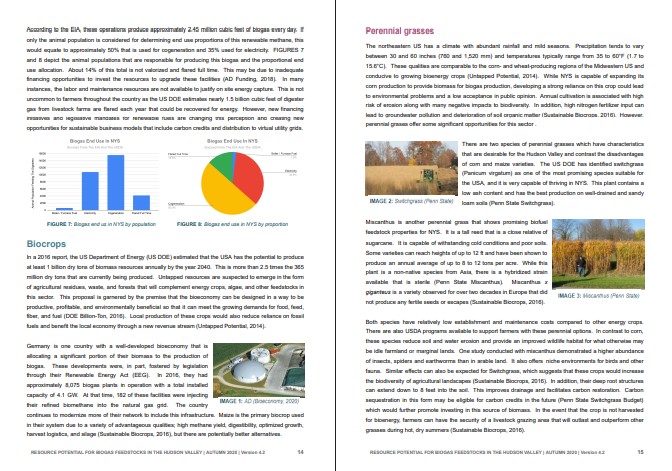 Document spread for the feedstocks analysis report